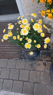 熊本市　２月　花壇