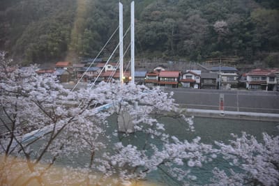福岡から仕事を終えて下関市の重文角島灯台廻りで岩国へそこで錦川清流線乗鉄して終えた3月29日