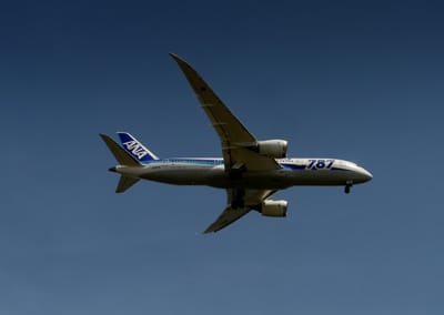 <航空機の外部塗装>  さようなら、ANA「787」ロゴ機！ 