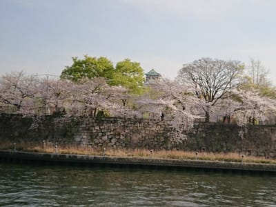大阪城と大川の桜
