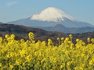お気に入りの二宮町 "吾妻山公園"から見る富士山🗻