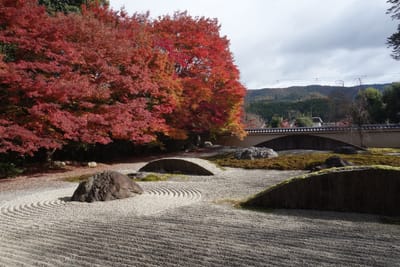 京都旅行　⑥　実相院