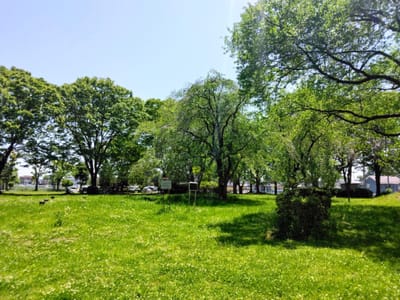 中田遺跡公園。