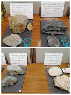岩石標本　　　サンゴゆんたく館 ４    (慶良間諸島５島巡りツアー３日目)   2023年１月29日