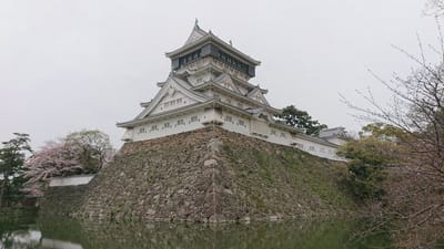 令和２年も同じ場所から小倉城🏯とソメイヨシノ桜🌸を撮影１