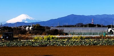 　　🗻 神奈中バスから見る、世界文化遺産『富士山』🗻