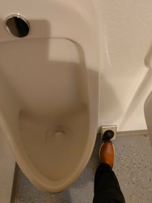 スイスのトイレ足踏み式