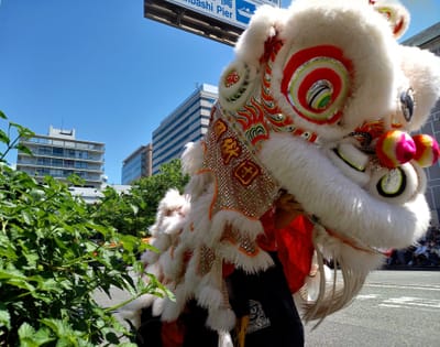 🔵 横浜開港記念みなと祭《第72回 ザよこはまパレード》　　　　横浜華僑総会　中国龍舞、獅子舞　