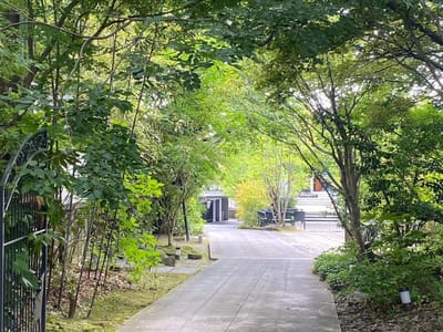 古都奈良の緑あふれる心地よい空間「あしびの郷」☘️✨
