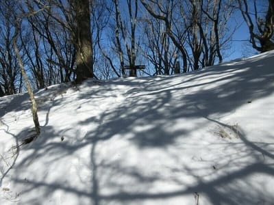 右へ行くと戸谷山　ここから山頂までの雪道歩きは、新雪で最高！
