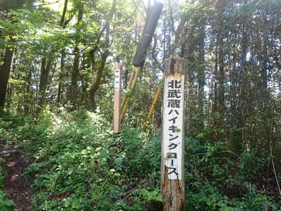 登山道の標識。