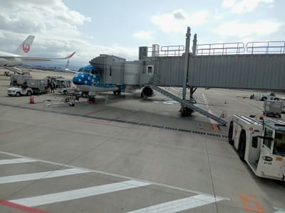 福岡空港ビューとツアーに参加しました。〜国内線に到着したジンベエザメ機