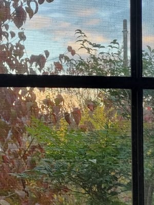 窓の晩秋