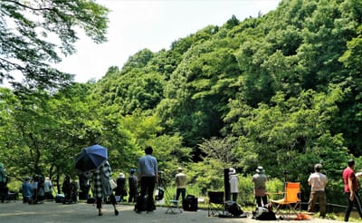 　　　新緑の "四季の森公園"　<カワセミ撮影スポット>