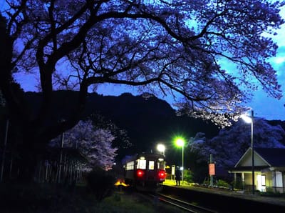 長良川鉄道「桜の駅」（４）