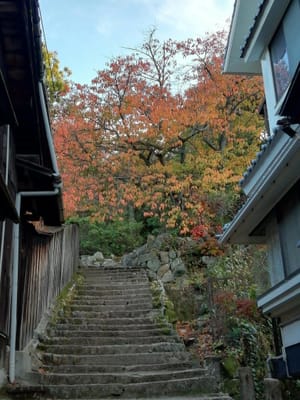 4、多宝塔へ行く階段の紅葉　　　　厳島神社～多宝塔へ  (しまなみ海道ウォーキングツアー１日目)   2022年11月６日