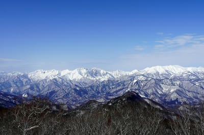 平標は見えないが仙ノ倉から朝日まで谷川連峰を一望