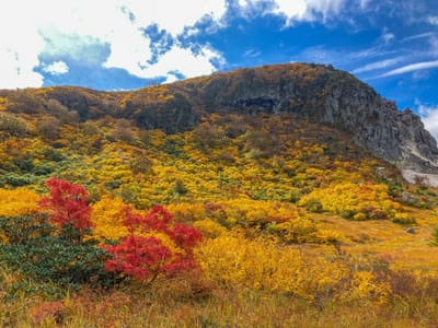 須川高原の紅葉