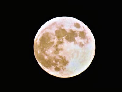 🌕 2022年11月8日「ビーバームーン（満月）」皆既月食！