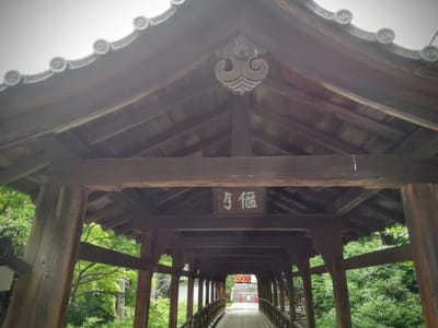 重文「偃月橋」　　東福寺②-4　  (乗り物と緑が美しい寺社巡りツアー２日目 )    2022年6月18日