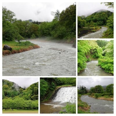 周辺の川の流れと新緑がある    雨上がりの「大出の吊り橋」  (ツアー２日目①)    2022年5月14日
