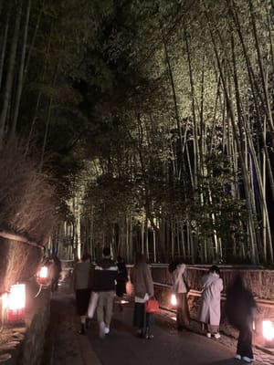 京都・嵐山花灯路〜竹林の小径2
