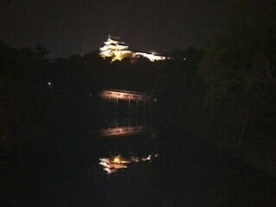 お堀に写った和歌山城とお橋廊下
