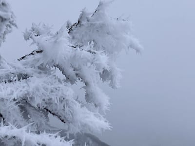 雪の武奈ヶ岳
