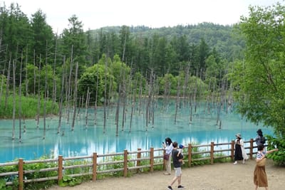 青い池　②