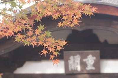 京都高台寺秋景と俳句