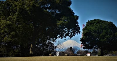 🗻　緑あふれる "根岸 森林公園" から望む、富士山　🗻　