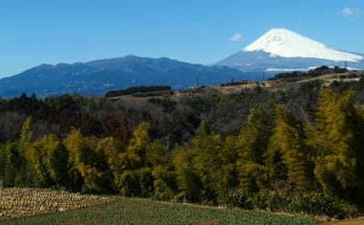 富士山と愛鷹山系