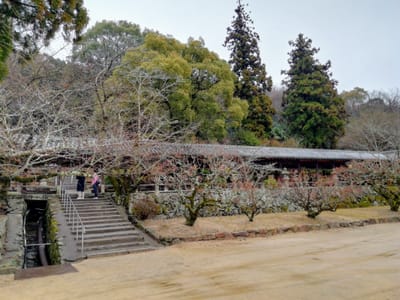 「外から見た回廊」　おまけ立ち寄り吉備津神社　(近畿人気温泉と姫路城ツアー３日目)　2024年３月23日