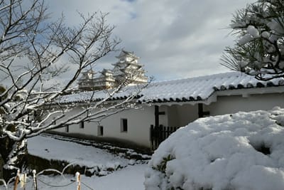雪の姫路城