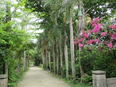 「亜熱帯植物楽園」　由布島（ゆぶじま）