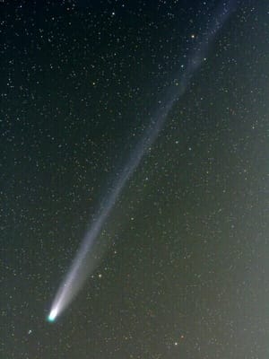 1月3日のレナード彗星
