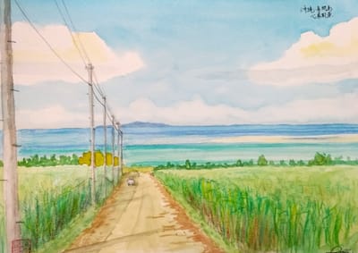 水彩画その４１８：沖縄：サトウキビ畑（心象風景）