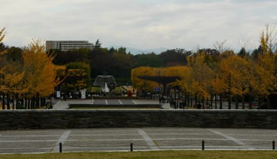 国営昭和記念公園の黄葉・紅葉まつり