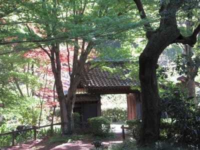 東京都の文化財　永井家の門　紅葉の緑が鮮やか～