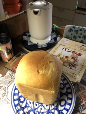 自家製ブドウパンできました。