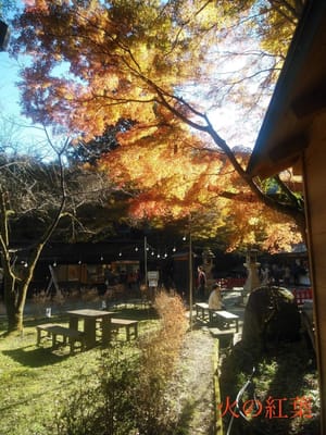 奈良シニア大学 写真サークル 学生Yさんの『奈良の素敵な風景』