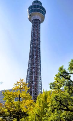 🔵　” 秋の山下公園 ”　散策　🔵「横浜マリンタワー」