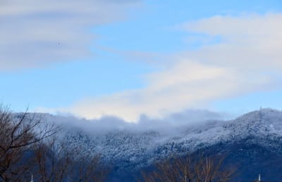 今朝の近所の里山の雪景色