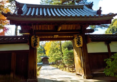 《三渓園》色づく風景に息をのむ神奈川の ”紅葉スポット”