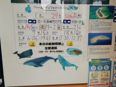 「当日の気候」　サンゴゆんたく館 ２    (慶良間諸島５島巡りツアー３日目)   2023年１月29日