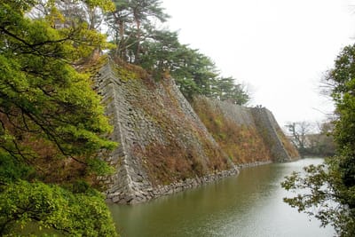 伊賀上野城（三重県）の桜2023_07