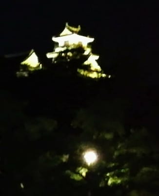 「高知城ライトアップ」 夜の高知市内  (２つの秘境と5つの絶景冒険旅行ツアー１日目)    2023年7月6日