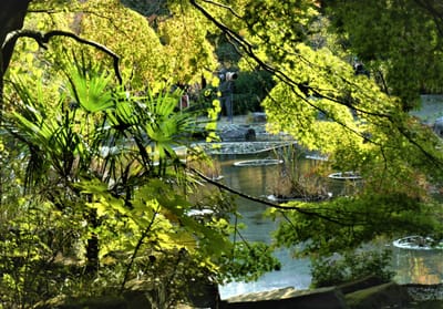 　　<お気に入り写真>　 横浜市立 "金沢自然公園"の紅葉