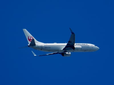 JAL　日本航空　（にほんこうくう)  Boeing 737