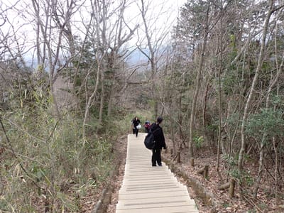 稲荷山コースの木段。